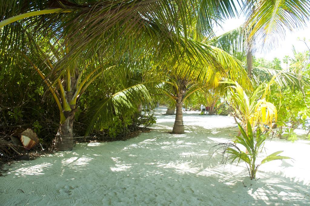 Hotel Palm Garden Thoddoo Zewnętrze zdjęcie
